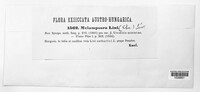 Melampsora lini image